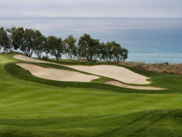 Virtual Golf Courses