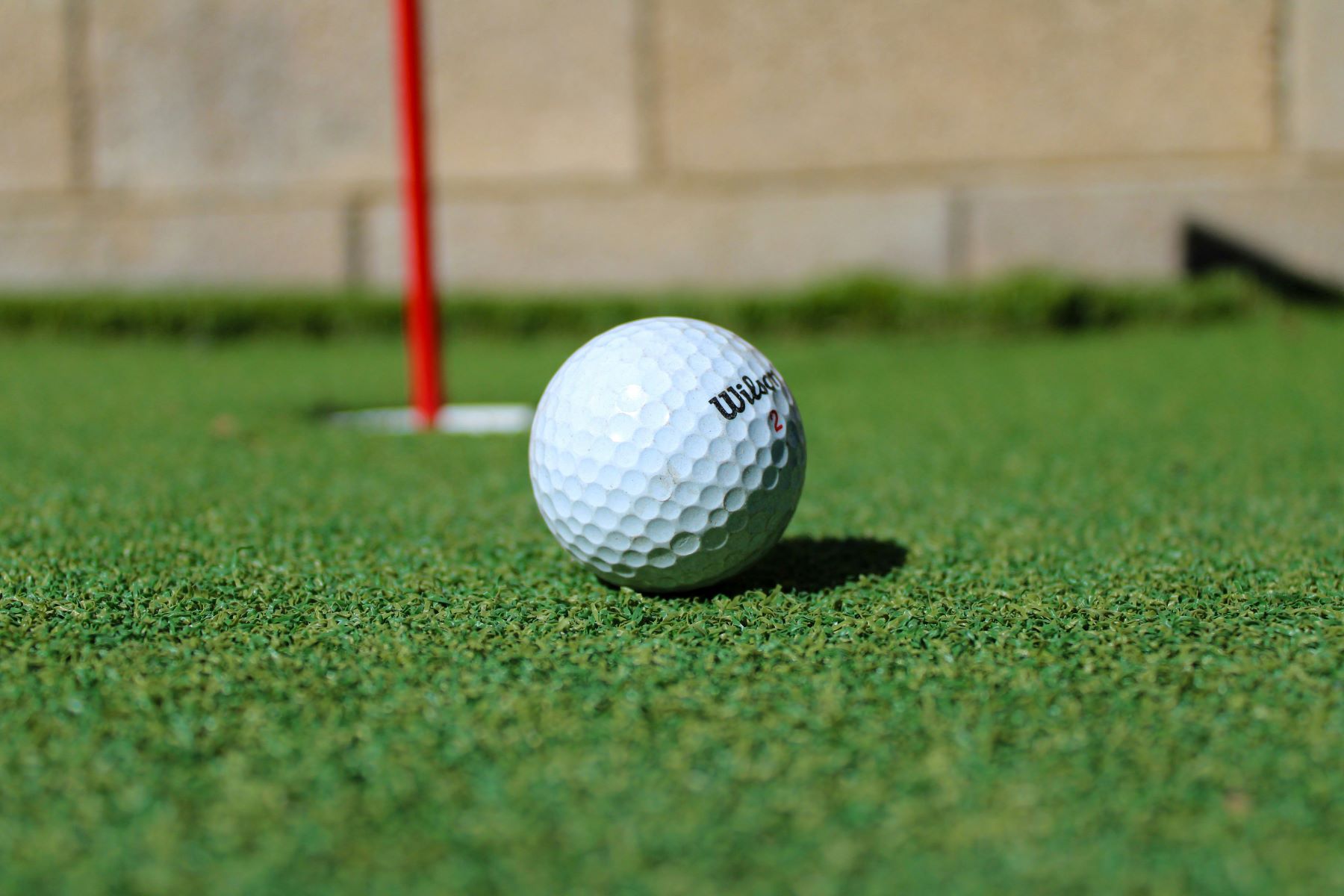 indoor putting green Lisle