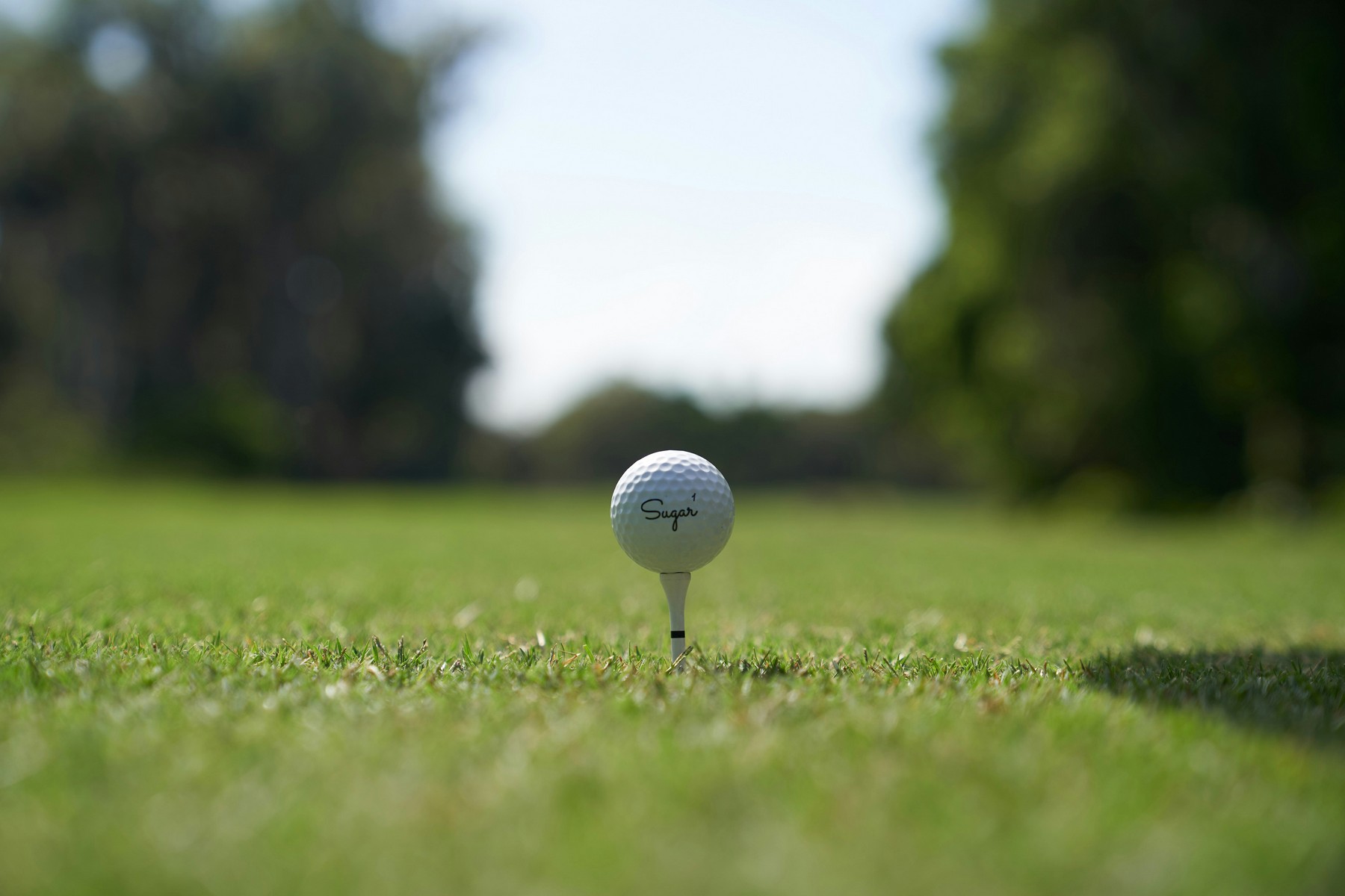 golf lessons wheaton